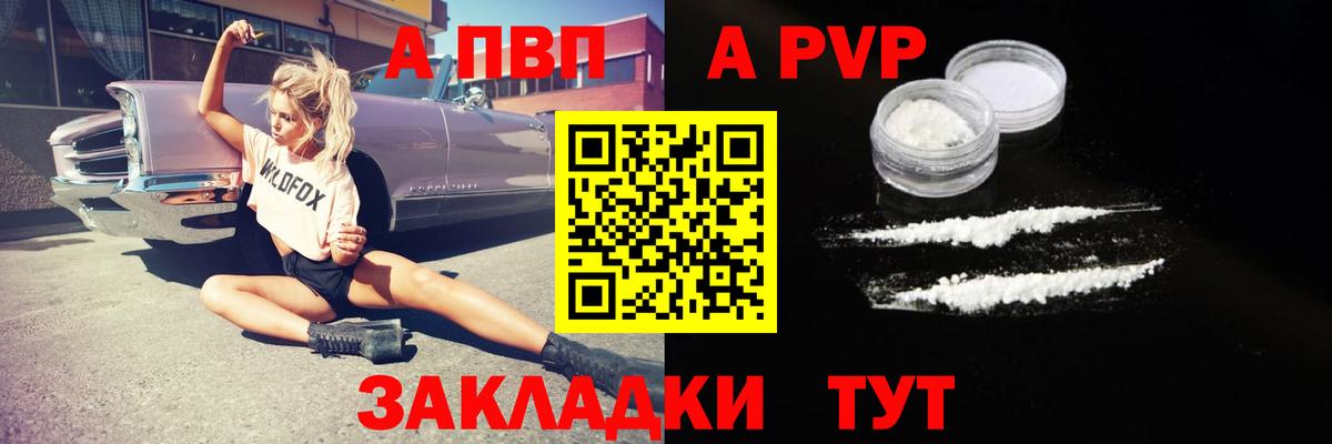 Alfa_PVP СК КРИС Боровичи
