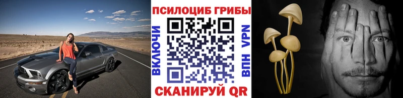 Псилоцибиновые грибы прущие грибы  дарнет шоп  Боровичи 