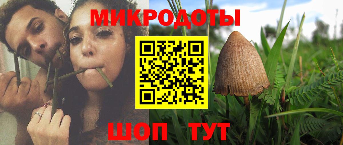 Галлюциногенные грибы мухоморы  Вход с VPN  Боровичи  где можно купить   Галлюциногенные грибы Psilocybe 