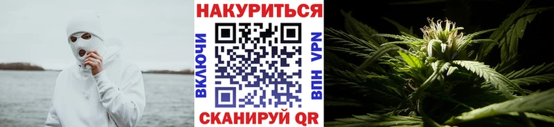 Бошки Шишки гибрид Боровичи